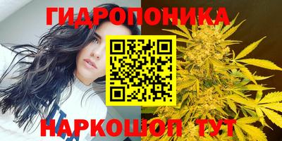 дмт Будённовск